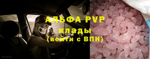 сатива Лихославль