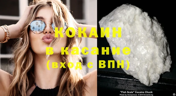 сатива Лихославль