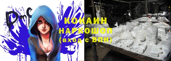 сатива Лихославль